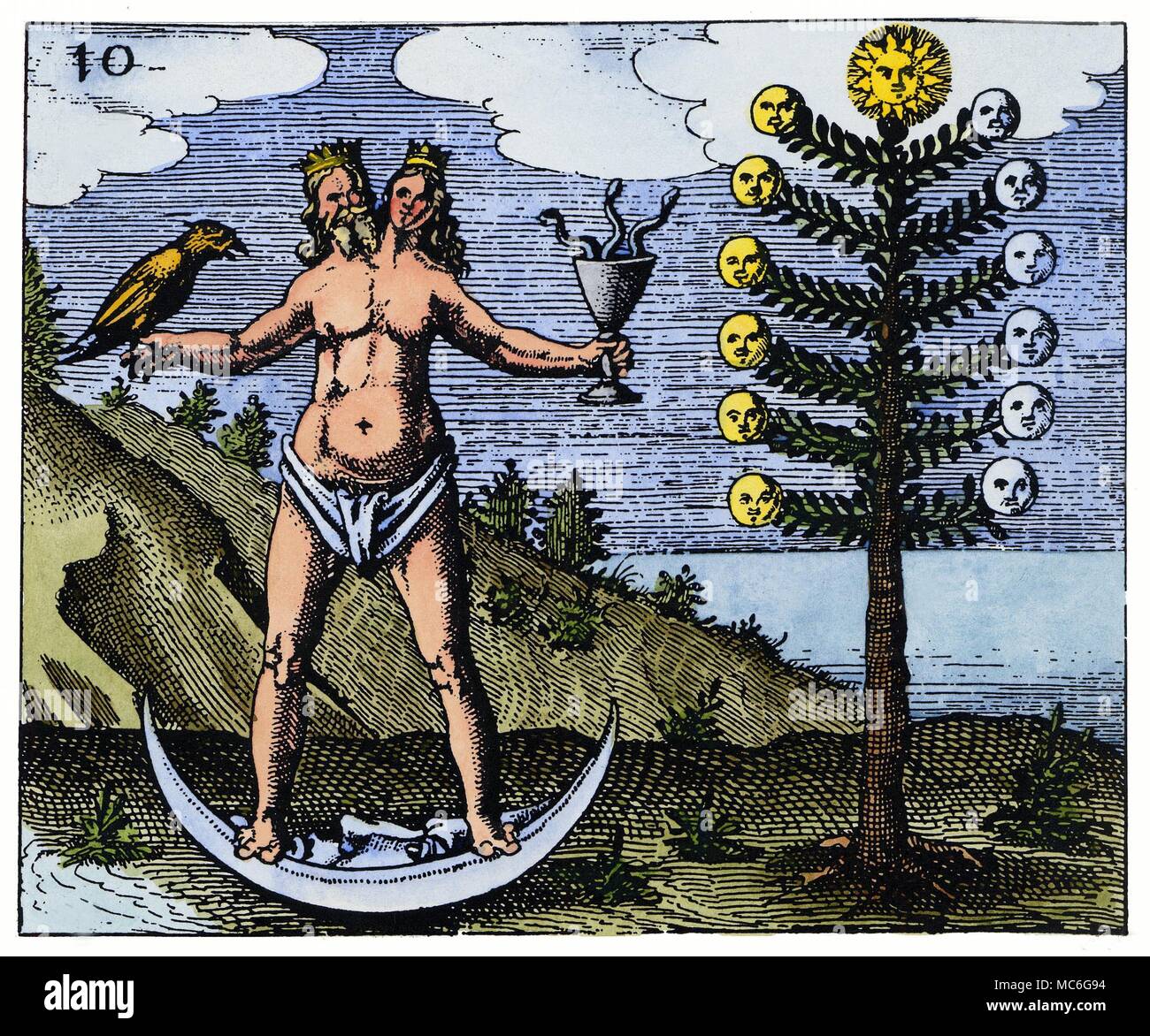 ALCHEMY - TREE OF THE MOON - HERMAPHRODITE Engraving from Johann Daniel Mylius, Philosophia Reformata, 1622. The presence of the Tree of the Moon, or the Arbor Argentum, along with the fact that the hermaphrodite stands on a crescent Moon, indicates that this stage is the alchemical process marking the perfection of the First Silver. The hermaphroditic merging of the King and Queen indicates that the process is not yet complete, as integration has not taken place. Stock Photo