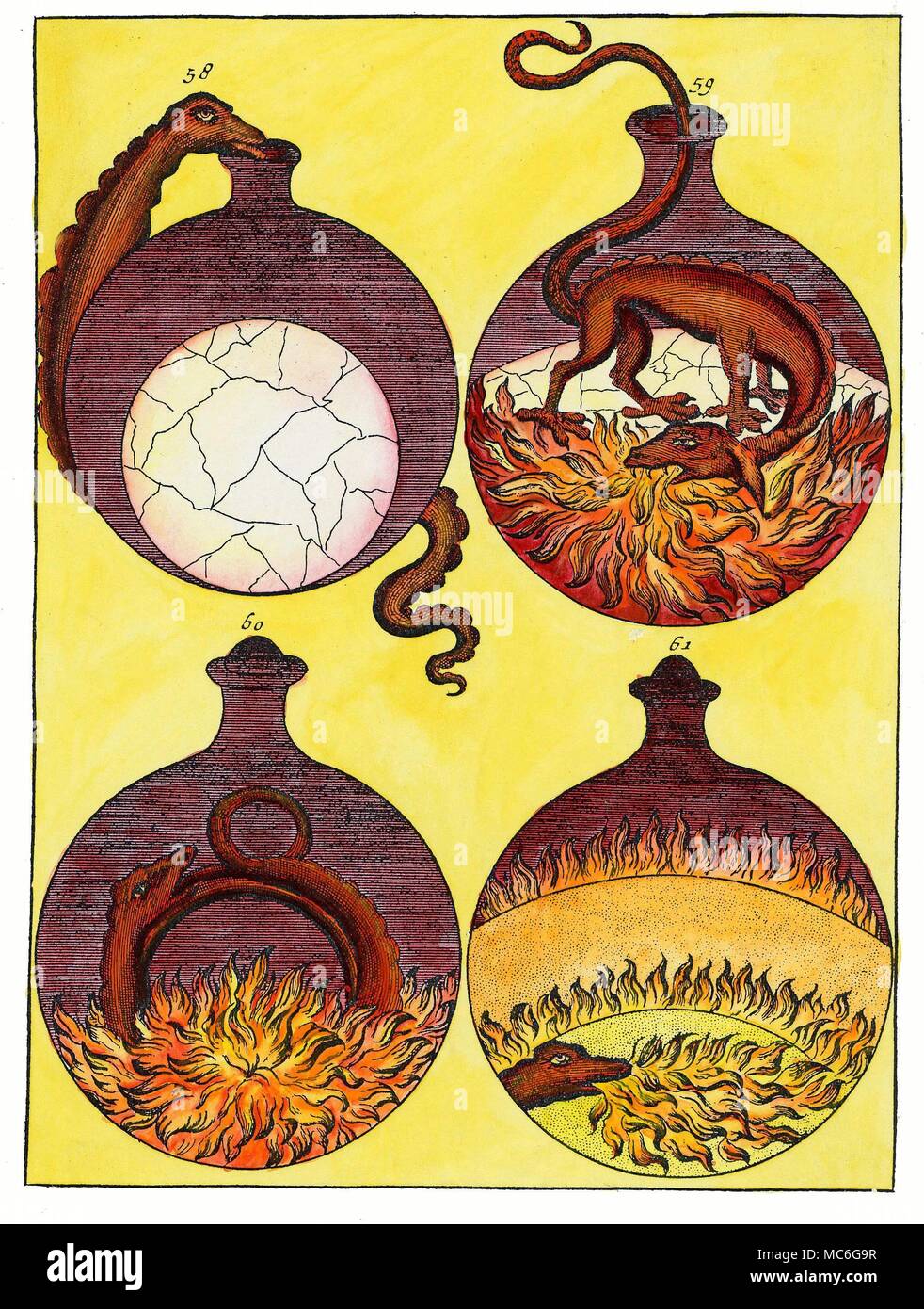 ALCHEMY - SALAMANDER - FIRE ELEMENTAL An alchemical process, represented as taking place in four stages in a single glass vessel. The elemental of Fire (the Salamander) is depicted as playing an important role in the process. In the second vessel, it is shown eating flames, in the third, it is luxuriating in the flames, and seems to have been transformed into an ouroboros snake. Hand-coloured engraving from Johann Conrad Barchusen, Elementa Chemiae, 1718. Stock Photo