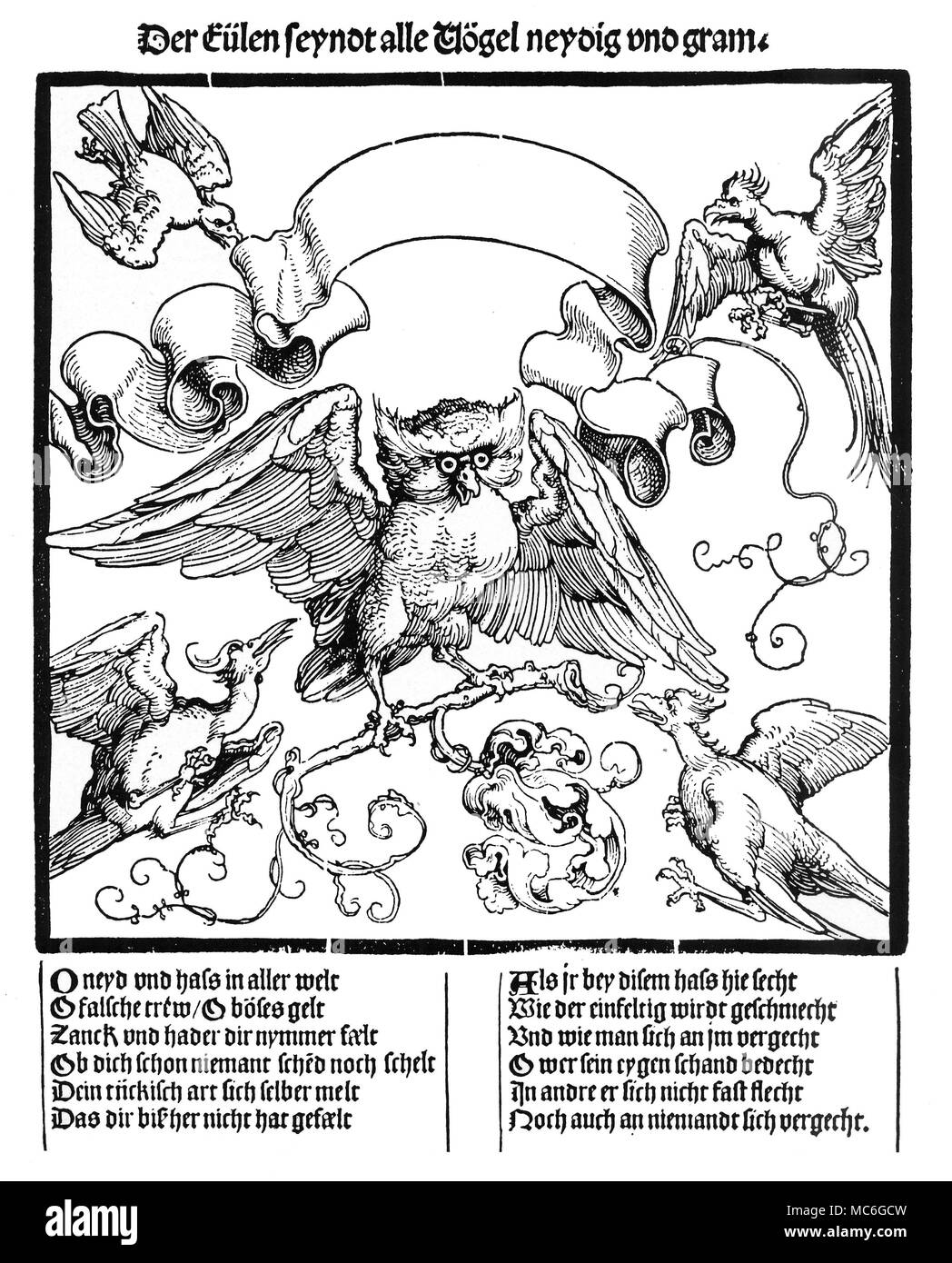 SYMBOLS - OWL OF WISDOM Persecuted Wisdom. Woodcut print from a broadsheet of circa 1540, symbolizing the idea of persecution, and attributed to the German artist, Albrecht DÂ³rer. The German inscription in black-letter at the top of the print translates: All birds are envious of owl, and bear it a grudge. Stock Photo