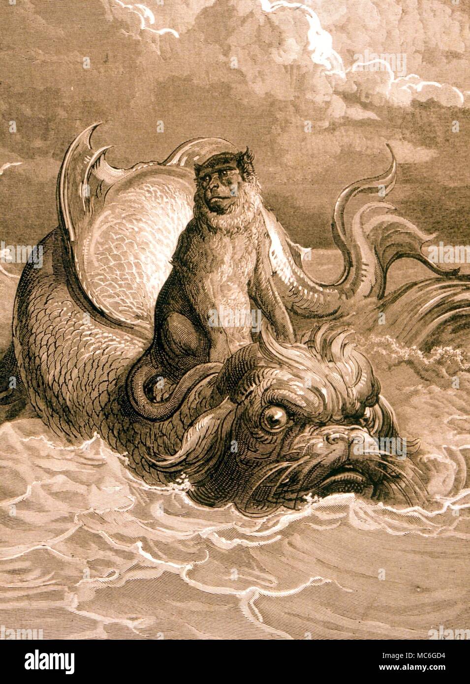 ANIMALS Monkey and dolphin. The monkey rescued from a shipwreck by a dolphin - from the story by La Fontaine. Engraving after Gustav Dore Stock Photo