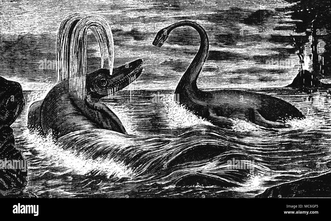 MONSTERS Prehistoric seamonsters wood engraving from the 1887 edition of J.P. Boyd's Wonders