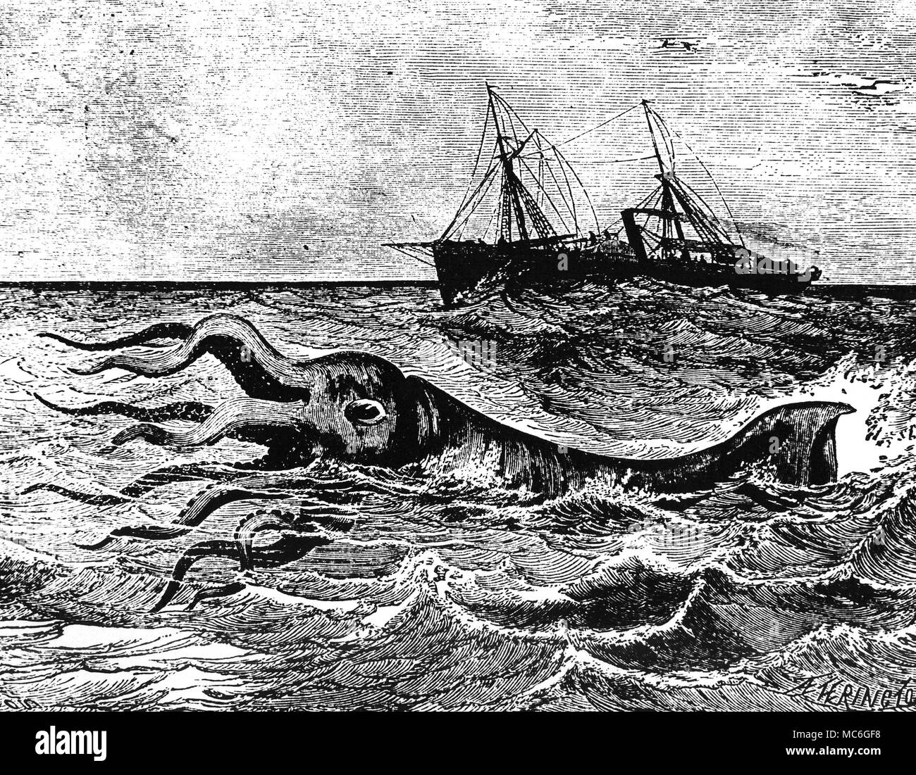 MONSTERS - GIANT SQUID Giant Squid - wood engraving from the 1887 edition of J.P. Boyd's Wonders of the Heavens, Earth and Ocean. Stock Photo