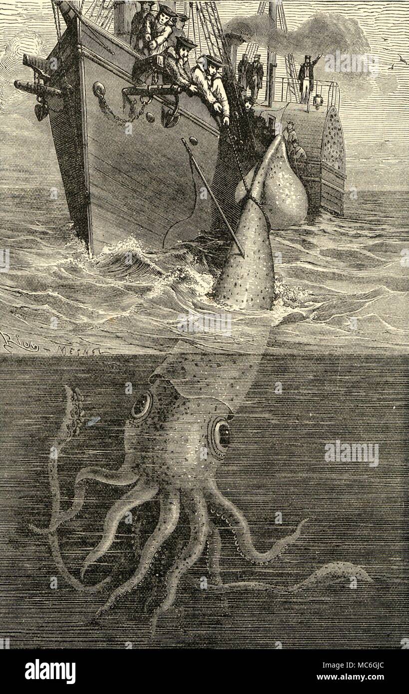 MONSTERS - SEA-MONSTER The giant squid encountered by the Alecton. The arms alone of this creature were said to be thirty-five feet long. Wood engraving from The World of Wonders. Stock Photo