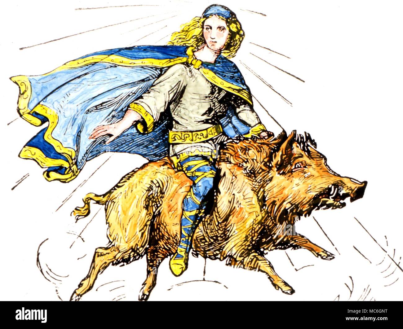 ANIMALS - Boar. The boar, being ridden by Freyr, the god of rain, sunshine and fruits. In teutonic legend, this boar was supposed to move more quickly that the swiftest horse. After a drawing by A S Murray Stock Photo