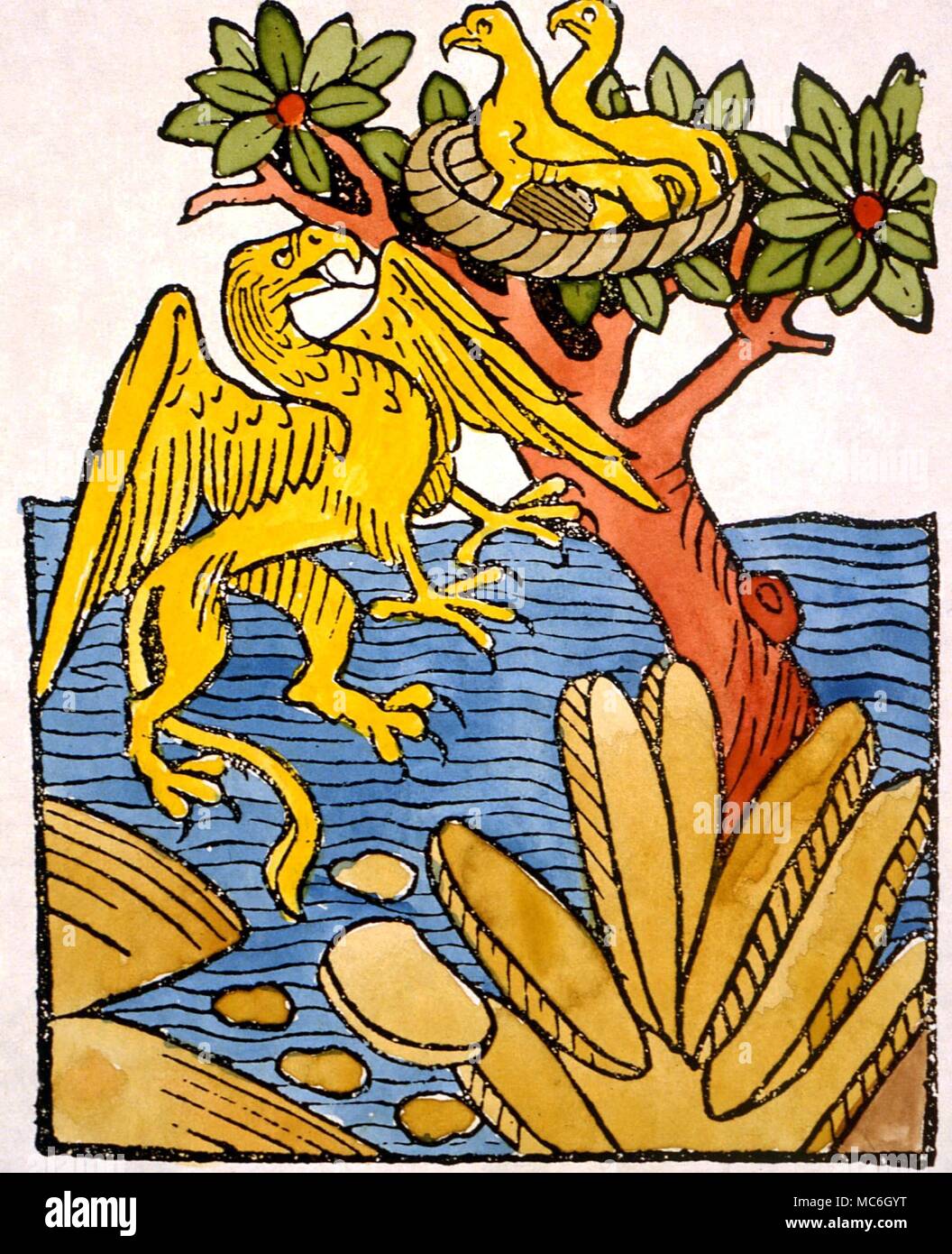 MONSTERS - GRIPHONS. According to the 1491 edition of 'Hortus Sanitatis', the emerald is found in the nests of Gryphons. it gives man good memory and riches. when held under the tongue, it permits prophecy Stock Photo