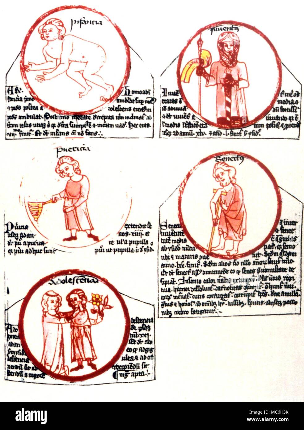 The Ages of Man - The Five Ages Artwork depicting the five ages - infancy, chlidhood, adolescence, manhood and old age. After a 13th century manuscript Stock Photo