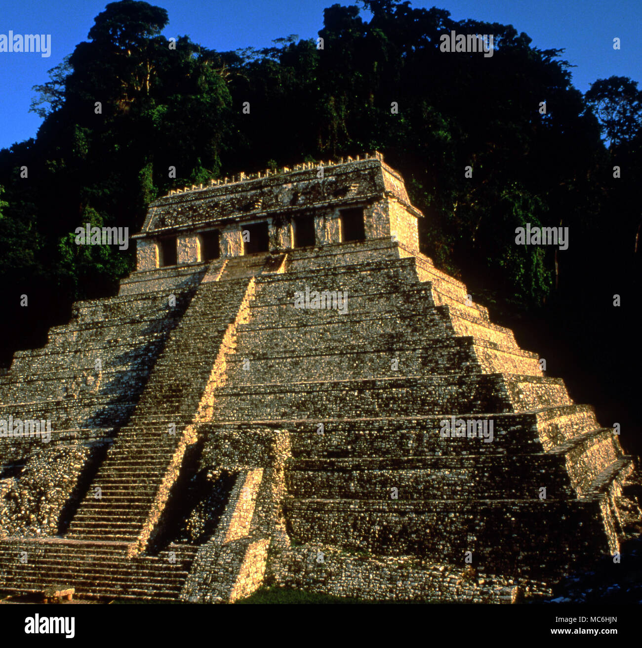 Mexican Archaeology. Palenque Pyramid - temple of the Inscriptions constructed at the end of the 7th century. In 1951 a secret crypt was discovered inside, with six skeletons and a seventh,which was propbably the body of the temple builder. Stock Photo