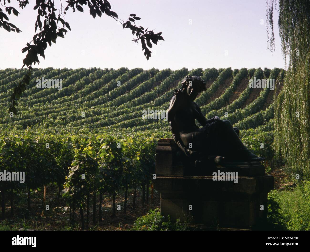 Seasons Spring Personification of Spring in the vineyards of Chateau de la Riviere Fronsac region of Boredeaux Stock Photo