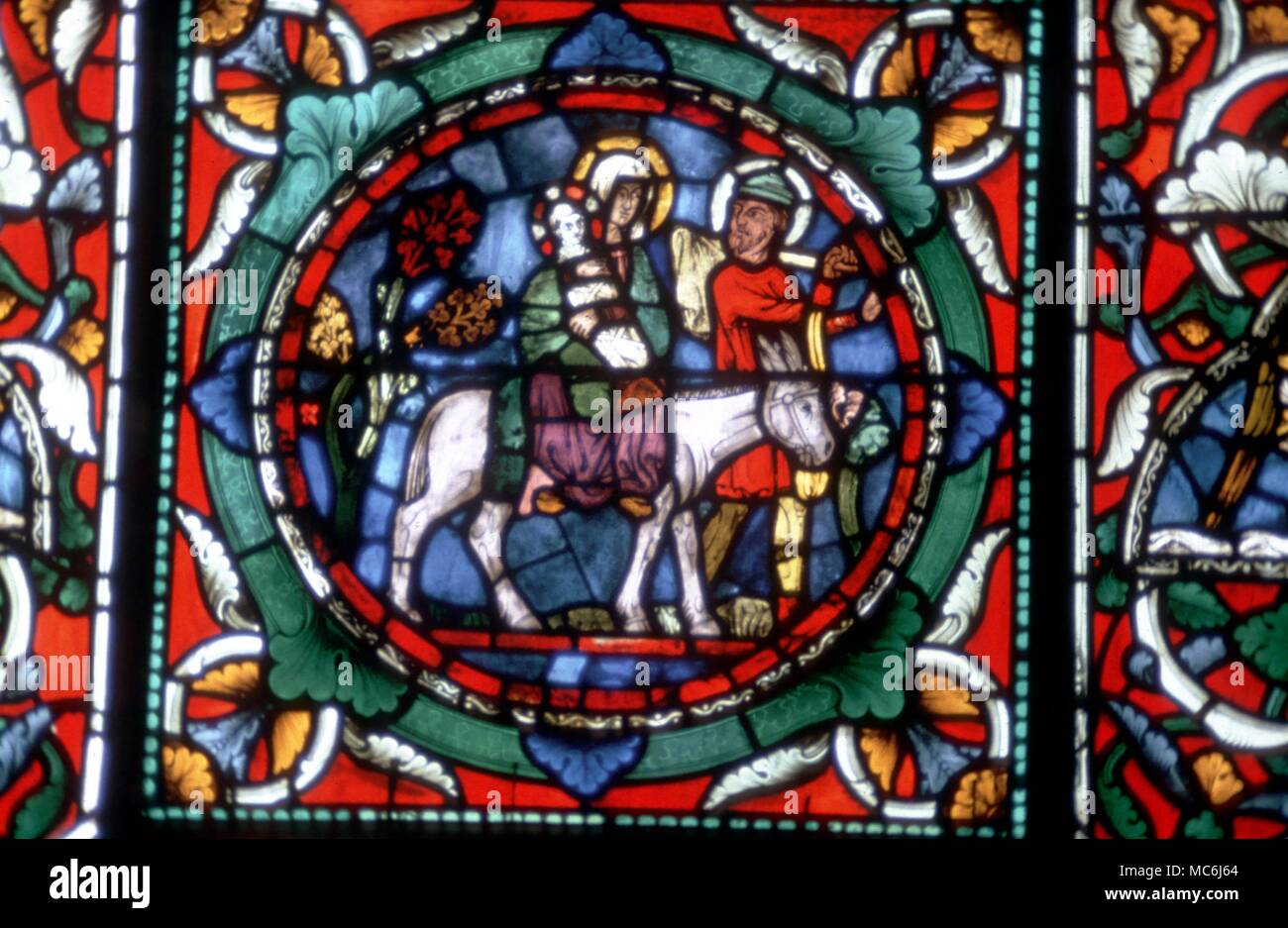 Donkey Detail Of Flight Into Egypt Stained Glass Window In Canterbury 