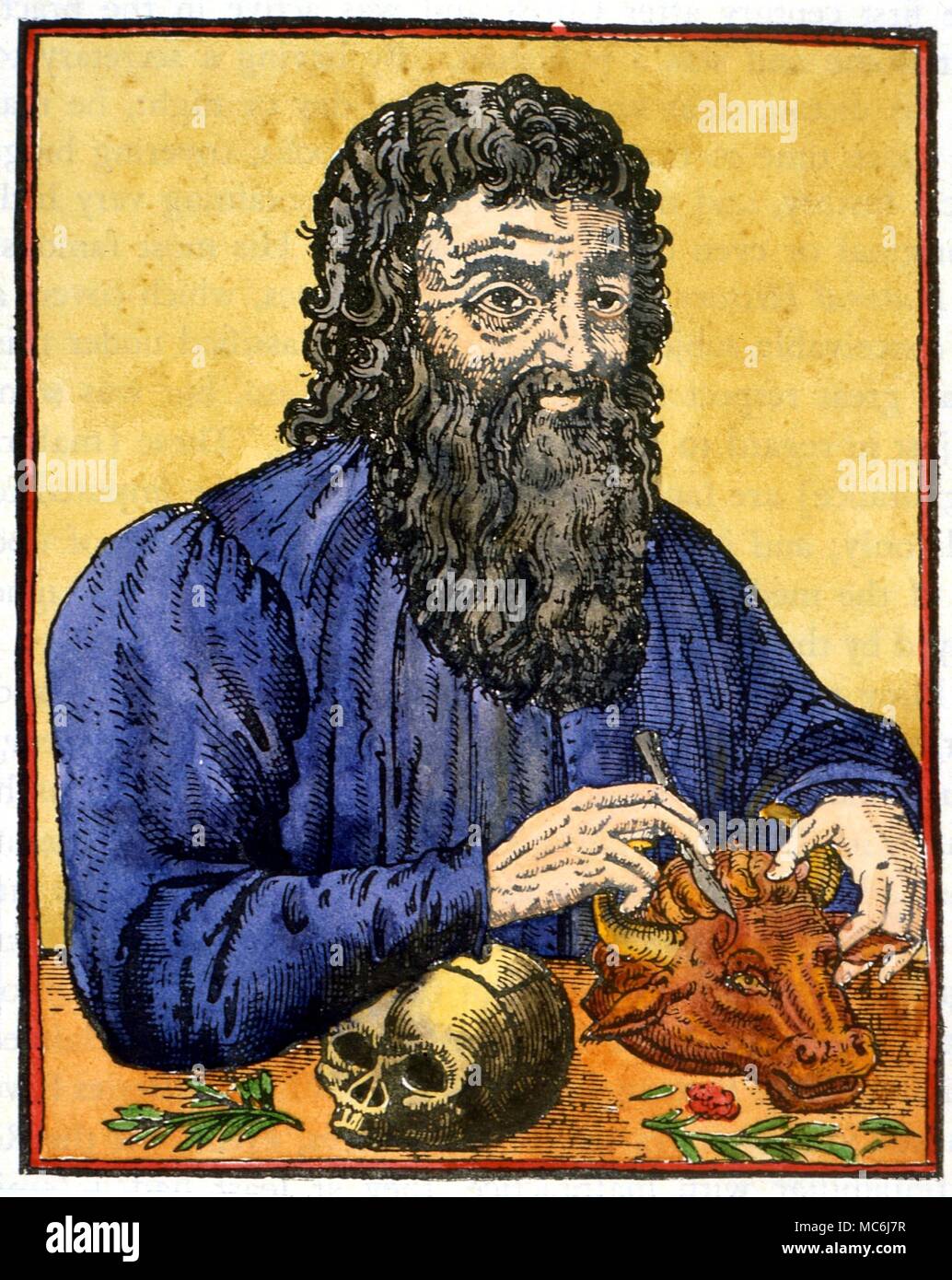 father of medicine galen
