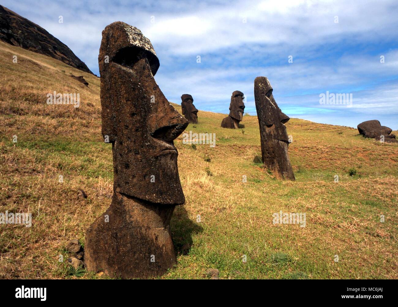 EASTER ISLAND - One of the upright giant statues near the ancient volcanic quarry on Easter Island Stock Photo