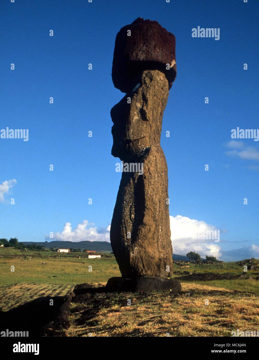 EASTER ISLAND - One of the upright giant statues near the ancient volcanic quarry on Easter Island. This enormous figure balances a tufa block on its head Stock Photo