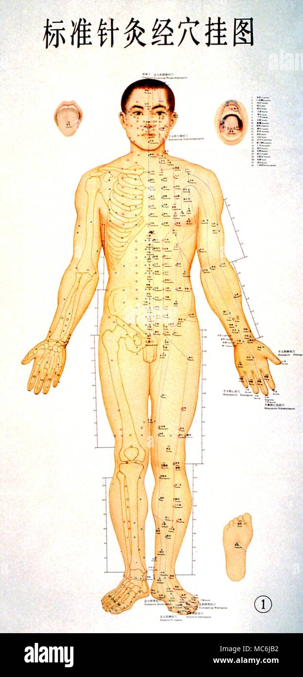 Full Body Acupuncture Chart