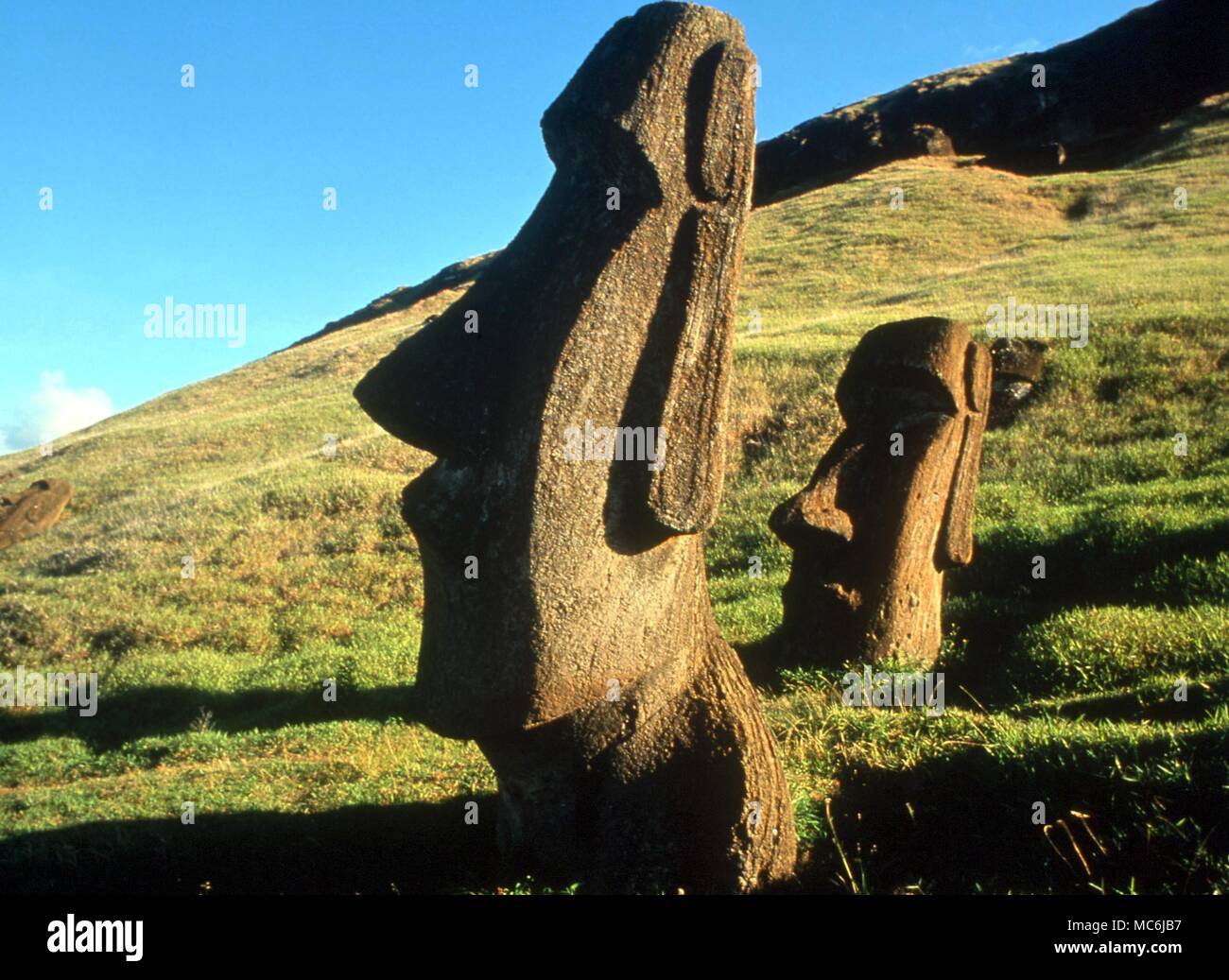 EASTER ISLAND One of the upright giant statues near the ancient