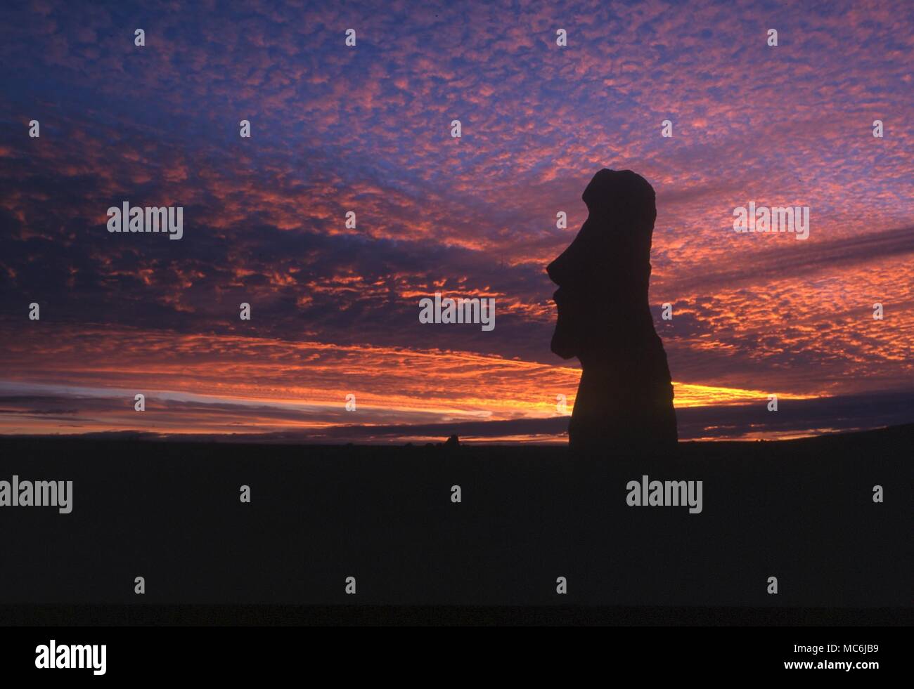 EASTER ISLAND One of the upright giant statues near the ancient