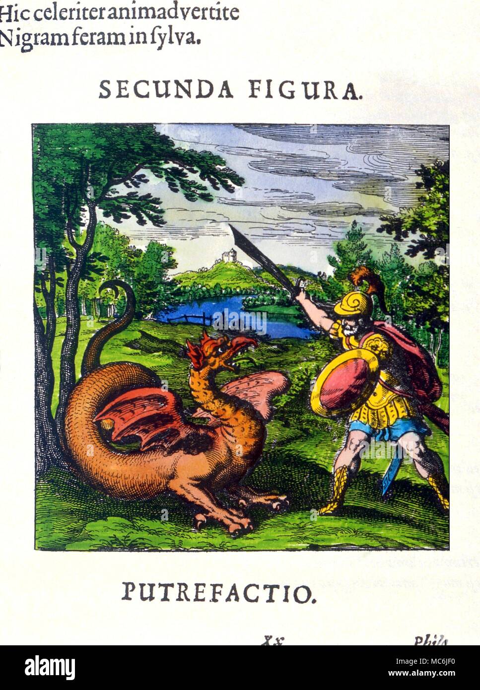 ALCHEMY - Alchemic Dragon. 'Putrefaction', a figure in Lambsprinck, 'De Lapide Philosophico', 1677. The dragon is the secret stone in its early form, as a virulent poision, before it becomes an elixir Stock Photo