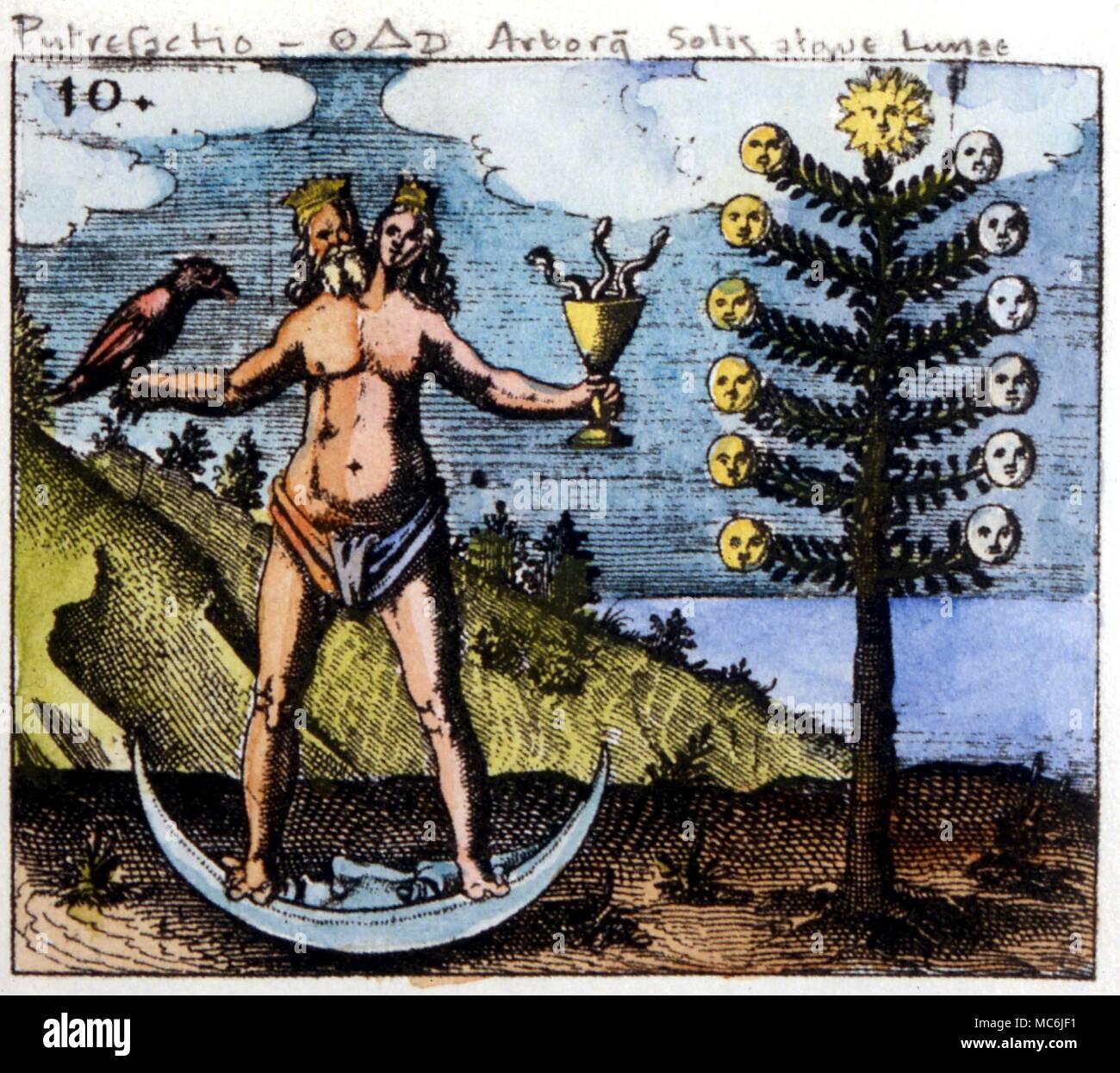 ALCHEMY - ANDROGYNE. Androgyne, with tree of Sun and Moon, from Johann Daniel Mylius, 'Philosophia Reformata', 1622, symbolizing Putrefaction Stock Photo