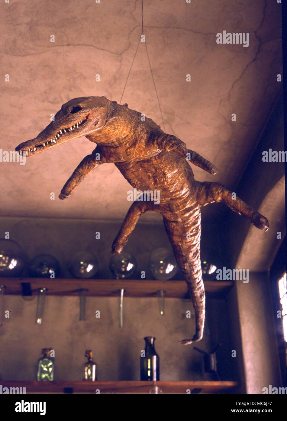 ALCHEMY - alchemical laboratory. Crocodile hanging from the roof of the reconstructed apothecary workshop in the Swiss Museum of Pharmaceutical History, Basle Stock Photo