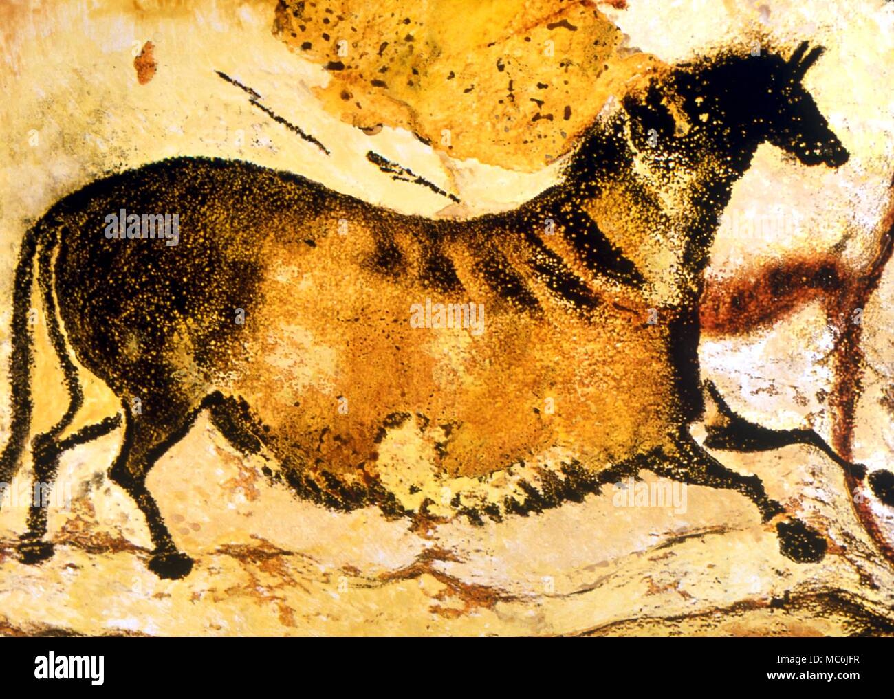 CAVE PAINTINGS AND DRAWINGS. Prehistoric cave painting of Horse from Lascaux (Axial Gallery). Artwork and computer graphic by James Thorn. Copyright CWC Stock Photo