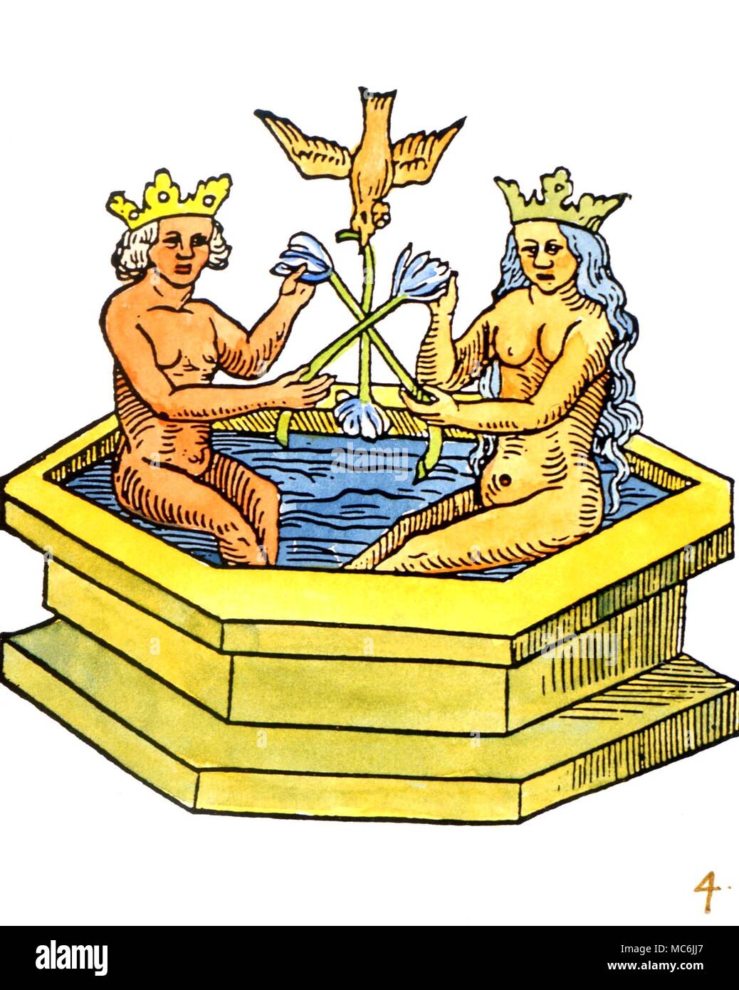 ALCHEMY - ROSARIUM PHILOSOPHORUM. Figure 4 from the 1550 edition of the 'Rosarium Philosophorum', one of the most important of alchemical texts. The naked solar king and the naked lunar queen conjoined by the Holy Spirit bathing in the sacred waters Stock Photo