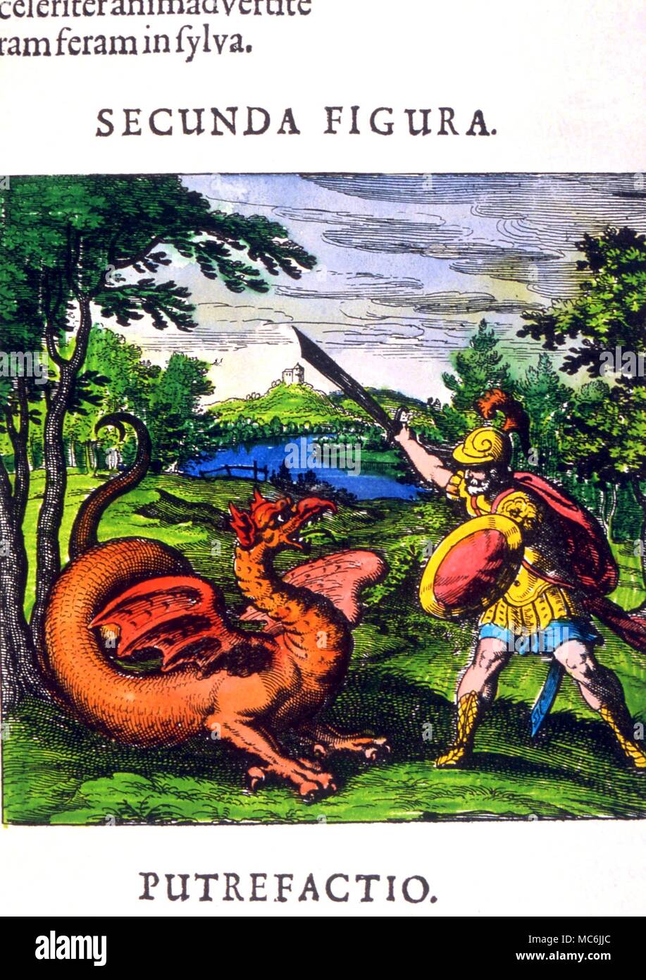ALCHEMY - PUTREFACTION. Putrefaction symbolised by fight beteeen knight and dragon, from Lambsprinck's 'De Lapide Philosophico', 1677 edition Stock Photo