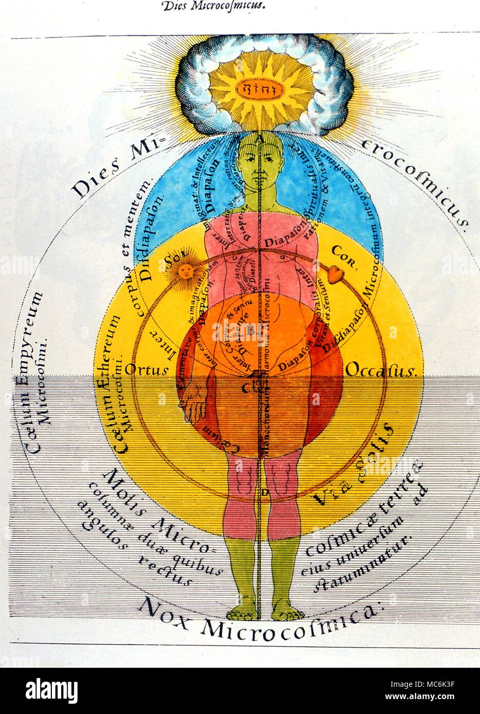 Cabbala Cosmic Man Image of Cosmic Man standing within circles that denote  Pythagorean harmonics and the courses of the planets Engraving by Thoeodore  de Bry 1619 Cabbala n : sometimes called Kabbalah