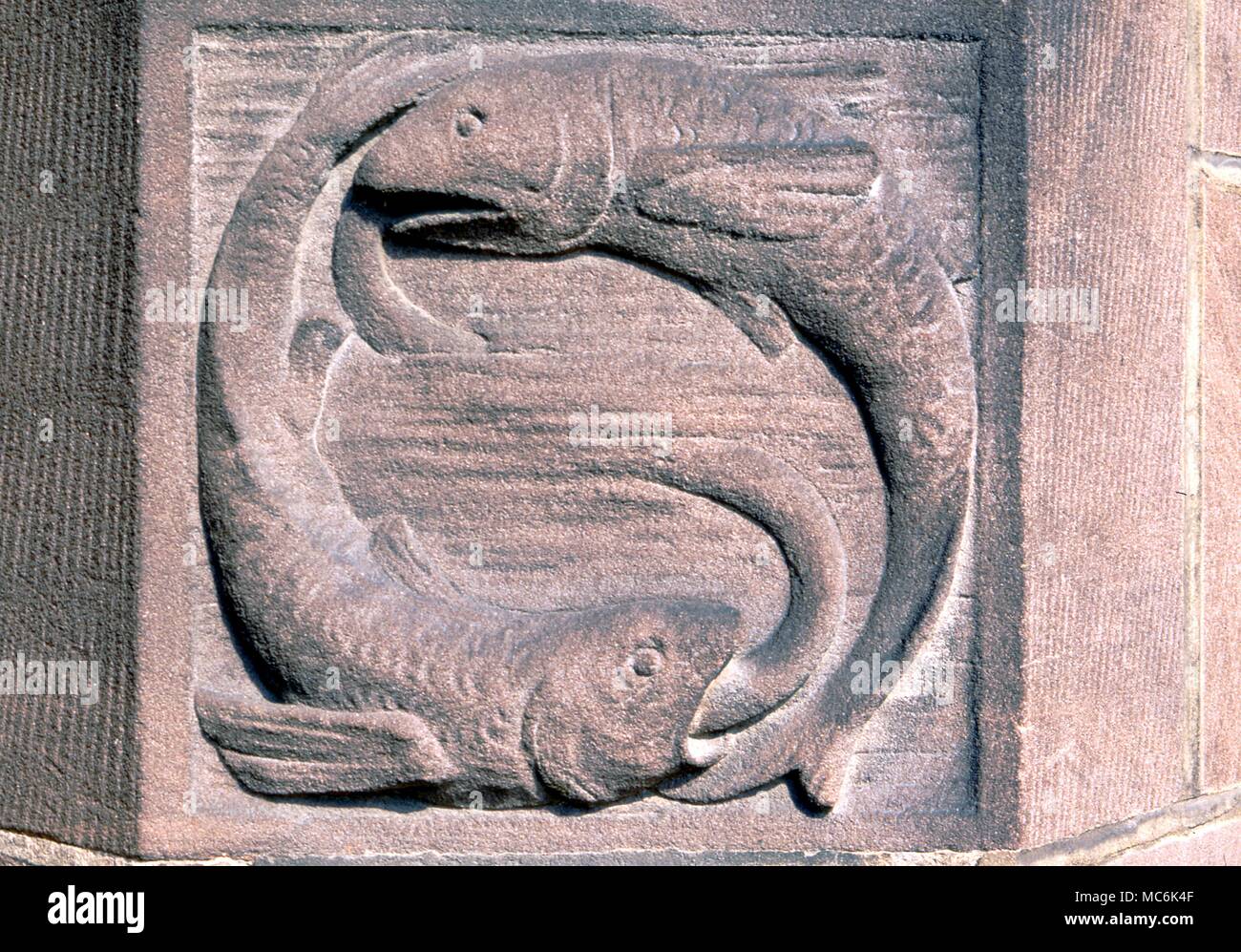 Zodiacal Signs. Pisces 19th century image of Pisces, in relie, on the east side of the Town Hall, Coventry Stock Photo