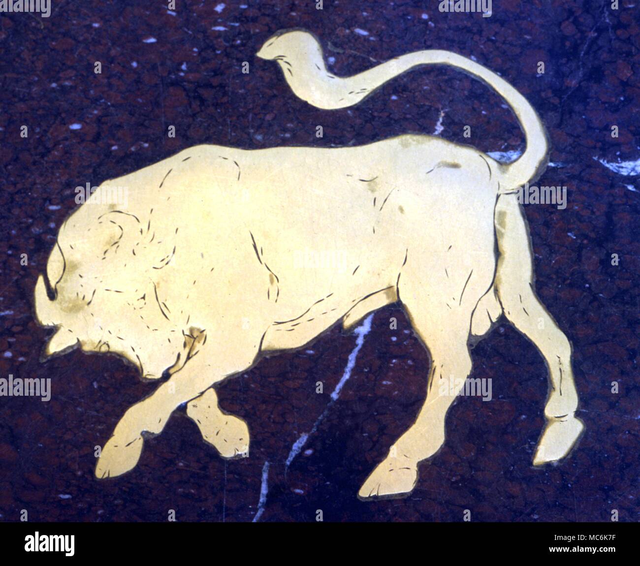 Astrology - Zodiacal signs Taurus Stock Photo