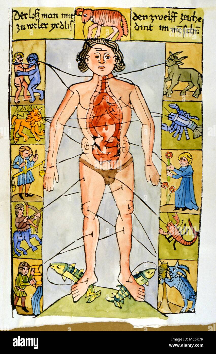 Zodiac Man .Early 16th century German zodiacal man, with the stomach opened to show the inner rulerships (such as Leo over the heart, Virgo over the stomach,and so on). Stock Photo