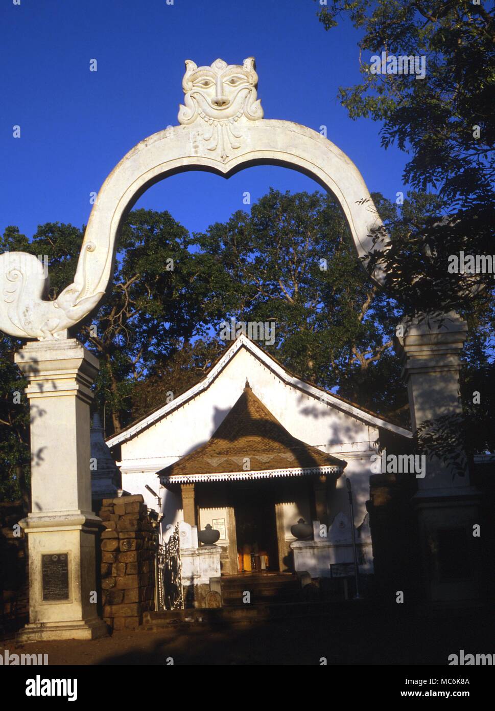 The Bodhi Tree planted from a cutting of the original Bodhi tree under which Buddha attained enlightenment Entrance to the sacred precinct with tree behind Sri Lanka Anuradhapura Stock Photo