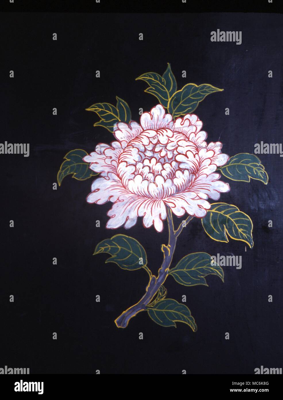 Buddhist Symbol The Lotus Flower one of the eight sacred symbols of the Buddhists Painted woden cupboard in the Temple of the Thousand Buddhas Sha Tin (New Territories Stock Photo -