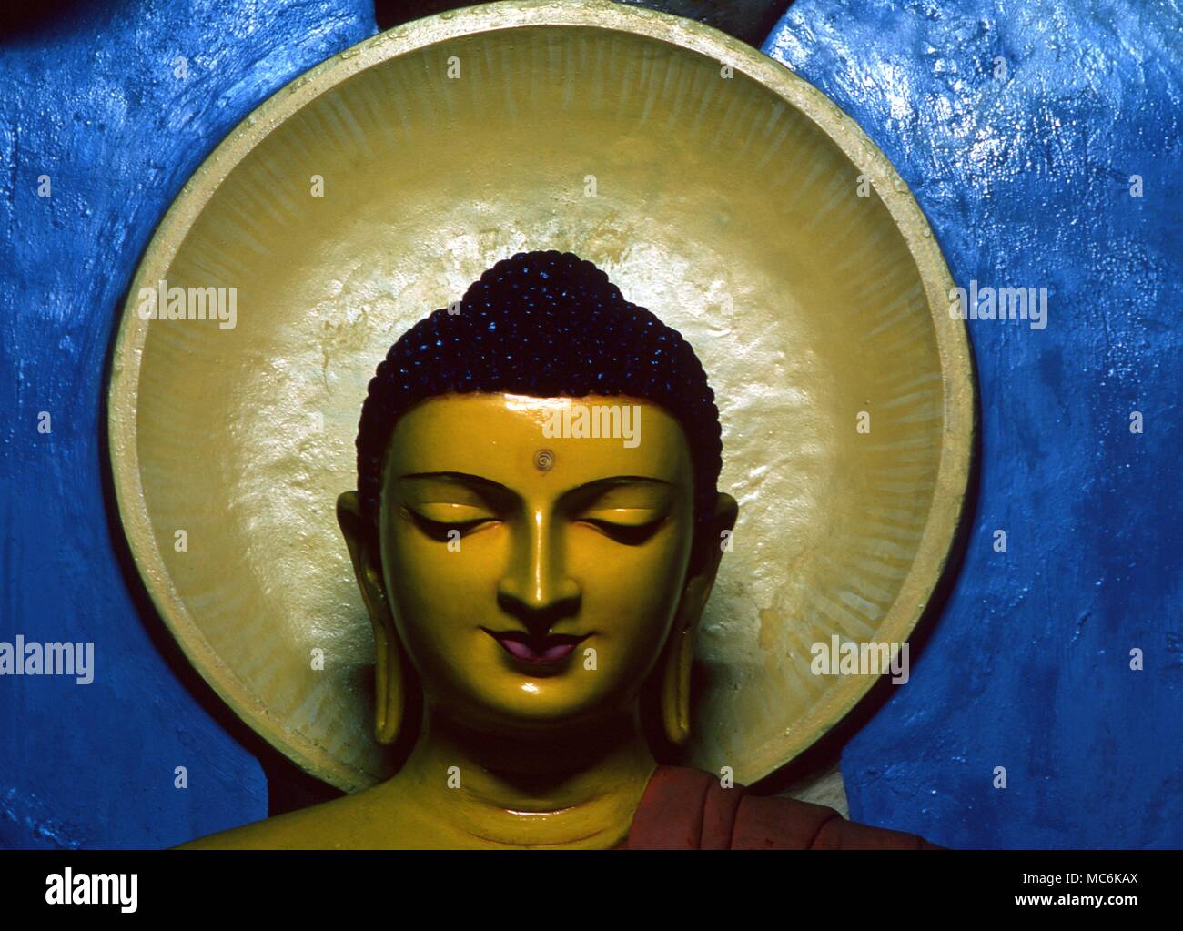 Head of giant Buddha in the Buddhist temple of Sri Pushparam Welithara Sri Lanka Stock Photo
