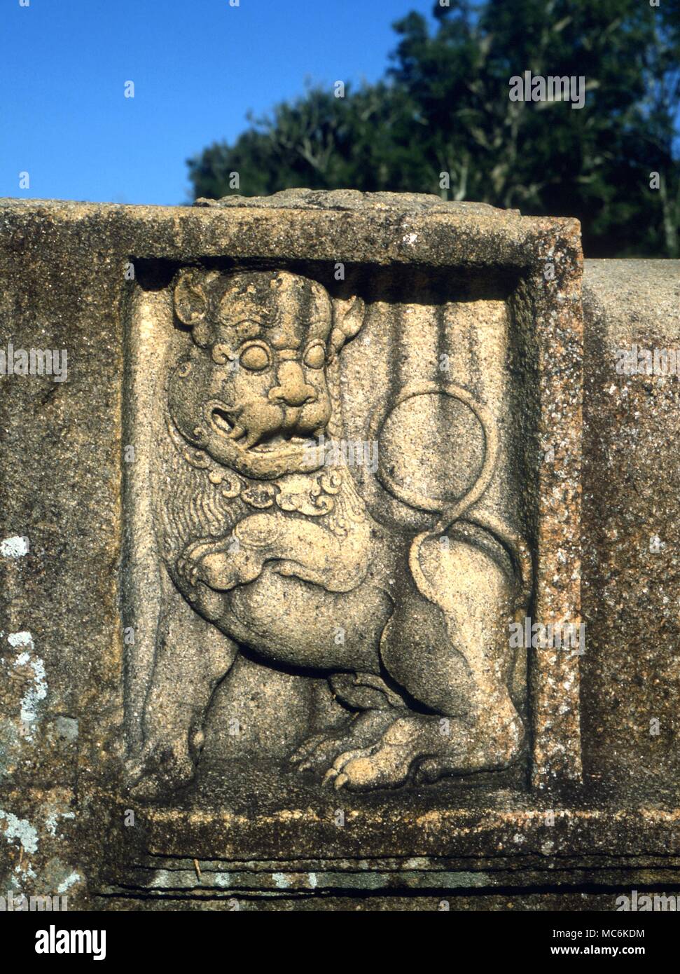 Buddhism Lion carving in temple precinct Anuradhapura Ancient City Sri lanka Stock Photo