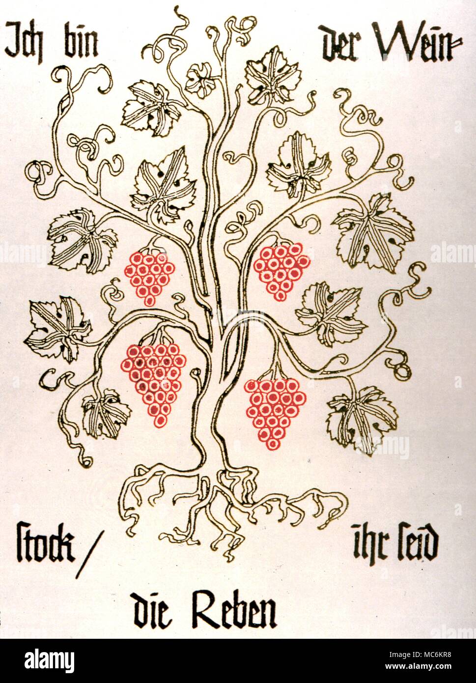 Herbal - Grape Vine. After a drawing in Koch and Kredel. 'Christliche Symbole''. 1935' Stock Photo