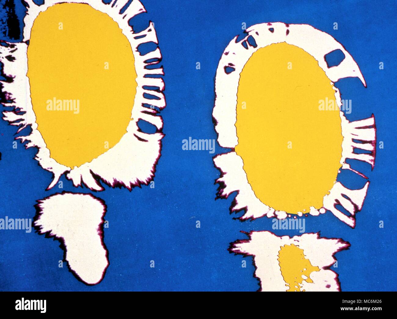 Detail of fingerprints, Kirlian image after computer colour enhancement.. Some occultists (wrongly) insist that these are the equivalent of the aura, or even of the astral body. Stock Photo