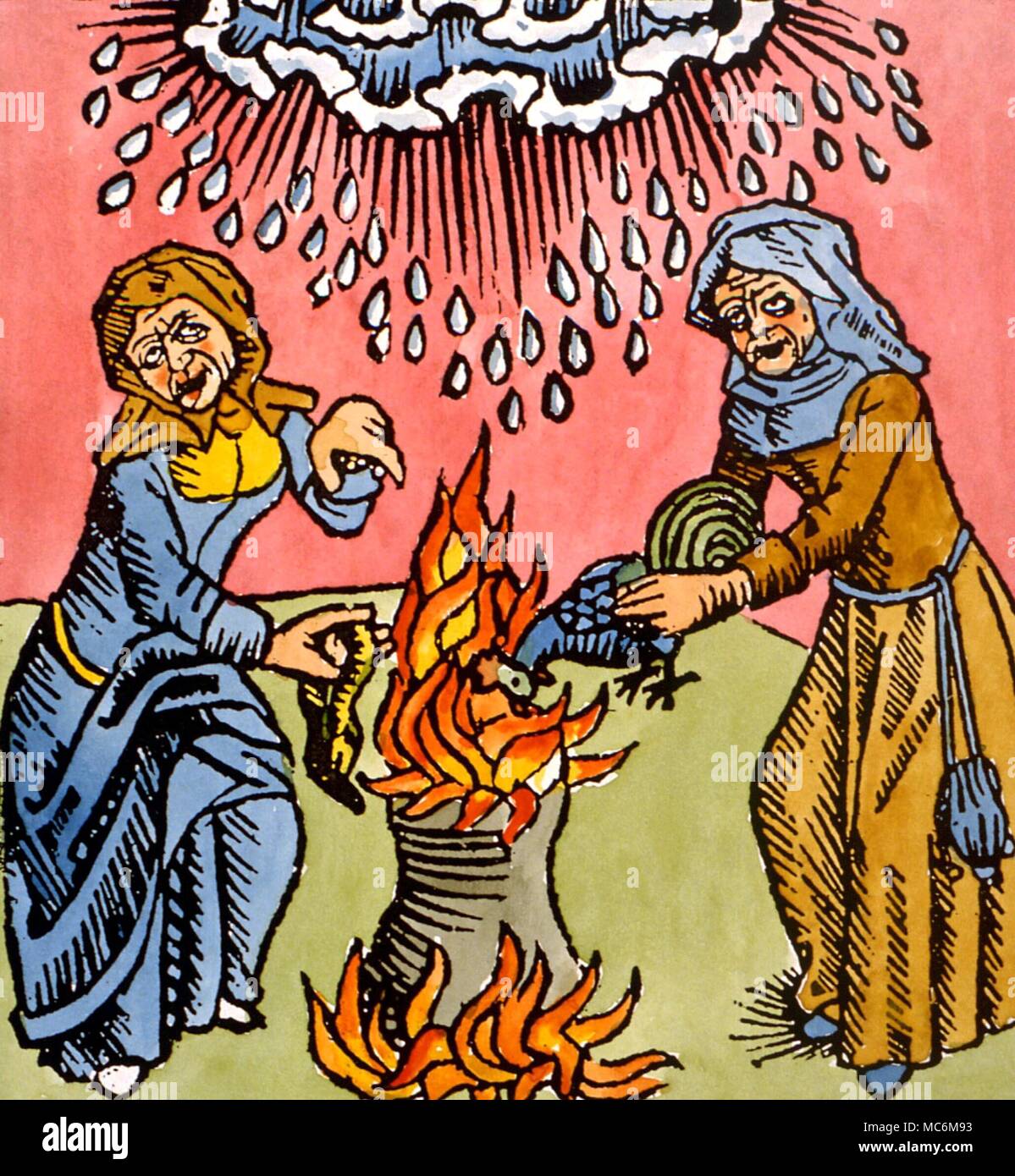 WITCHCRAFT - Witches incantating around a cauldron, sacrificing various animals and birds, in order to make rain. From Ulrich Molitor De Lamiis et phitonicis mulieribus, 1489 Stock Photo