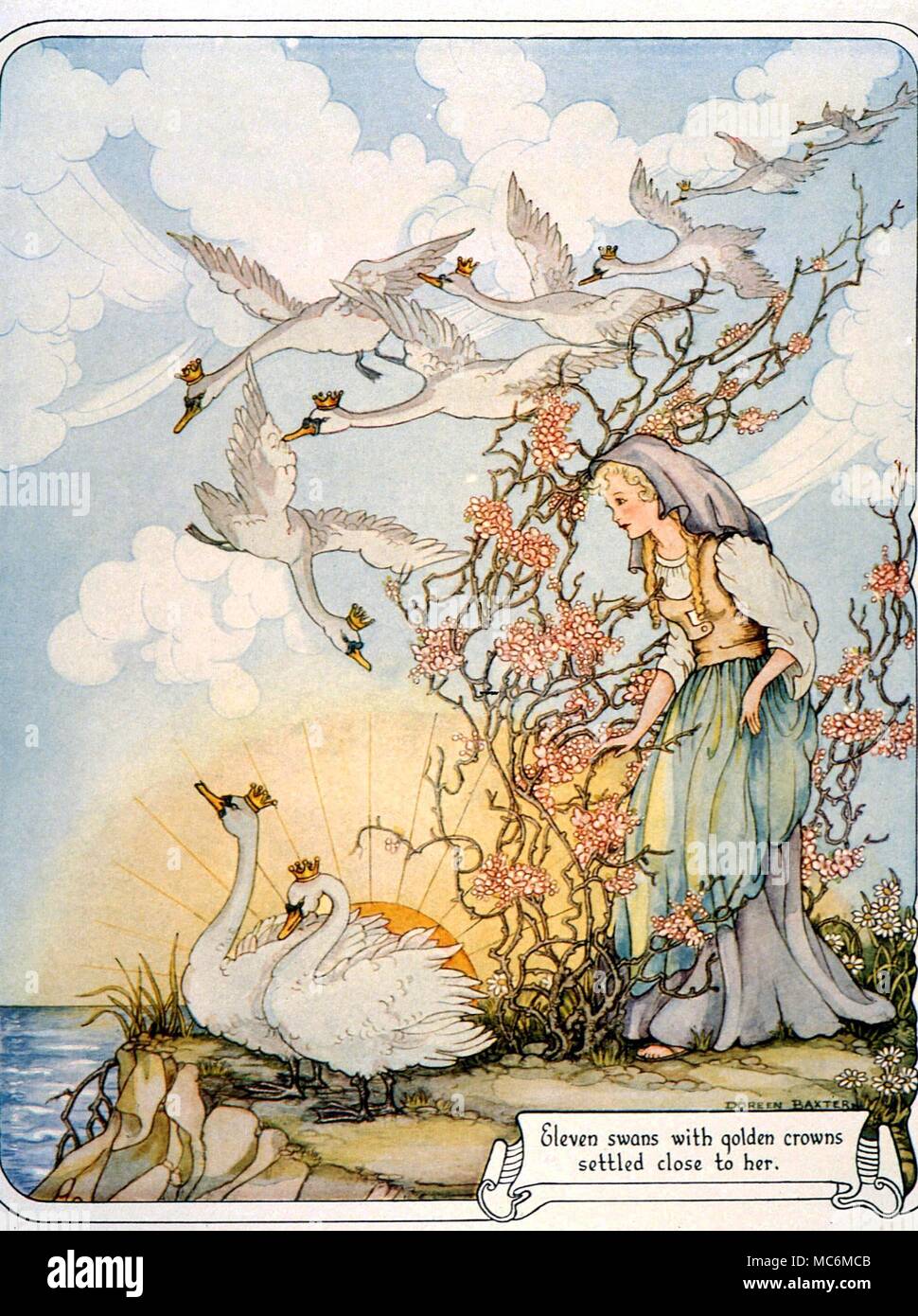 FAIRY TALES - THE WILD SWANS. The Wild Swans with golden crowns settle close to the maiden. Illustration by Doreen Baxter, from The Fairy-Tale Omnibus, c. 1949 Stock Photo