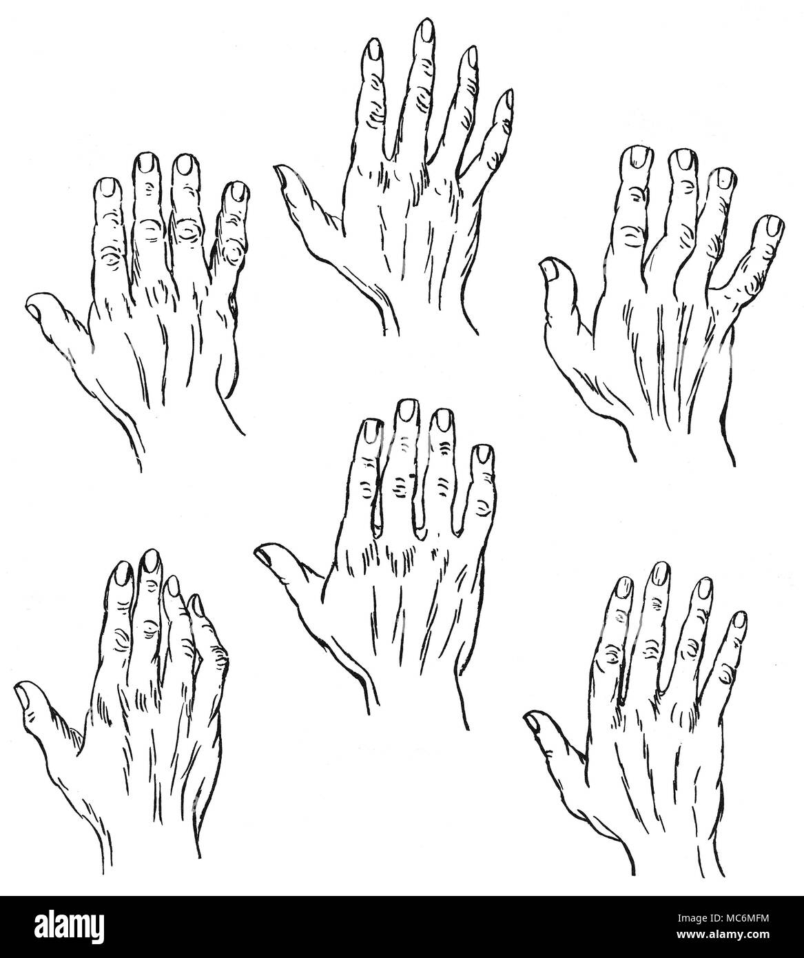 PALMISTRY - CHIROGNOMY The study of the form of the hand, in its relation to personality, is called Chirognomy, and is an important division of Palmistry. Among the many attempts to classify hand types, is that proposed by the French palmist, Casimir Stanislas D'Arpentigny (born 1798). D'Arpentigny proposed six basic hand types, along with a seventh, which included elements from two or more of these types. The drawings here illustrate (top left); the Elementary, the Psychic, the Spatulate, and (bottom left); the Knotty (or Philosophic), the Square, and the Conic. From D'Arpentigny, L Stock Photo