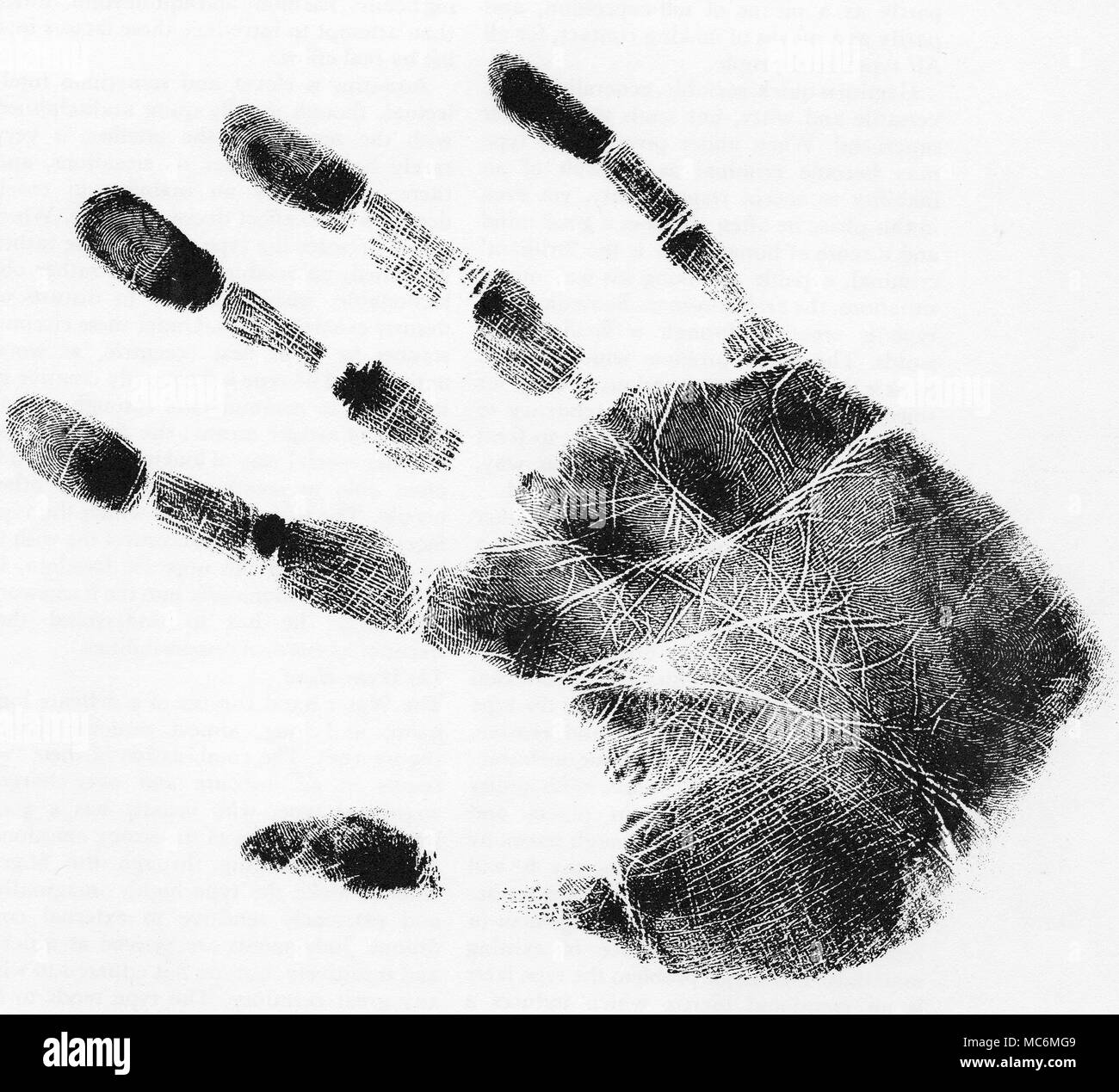 PALMISTRY - CHIROGNOMY A print of the Fire hand. The hand type has a long palm and short fingers. While the main lines (such as Heart, Head and Life) are clearly defined, the rest of the palm is covered in energetic short lines, as in this example. Stock Photo