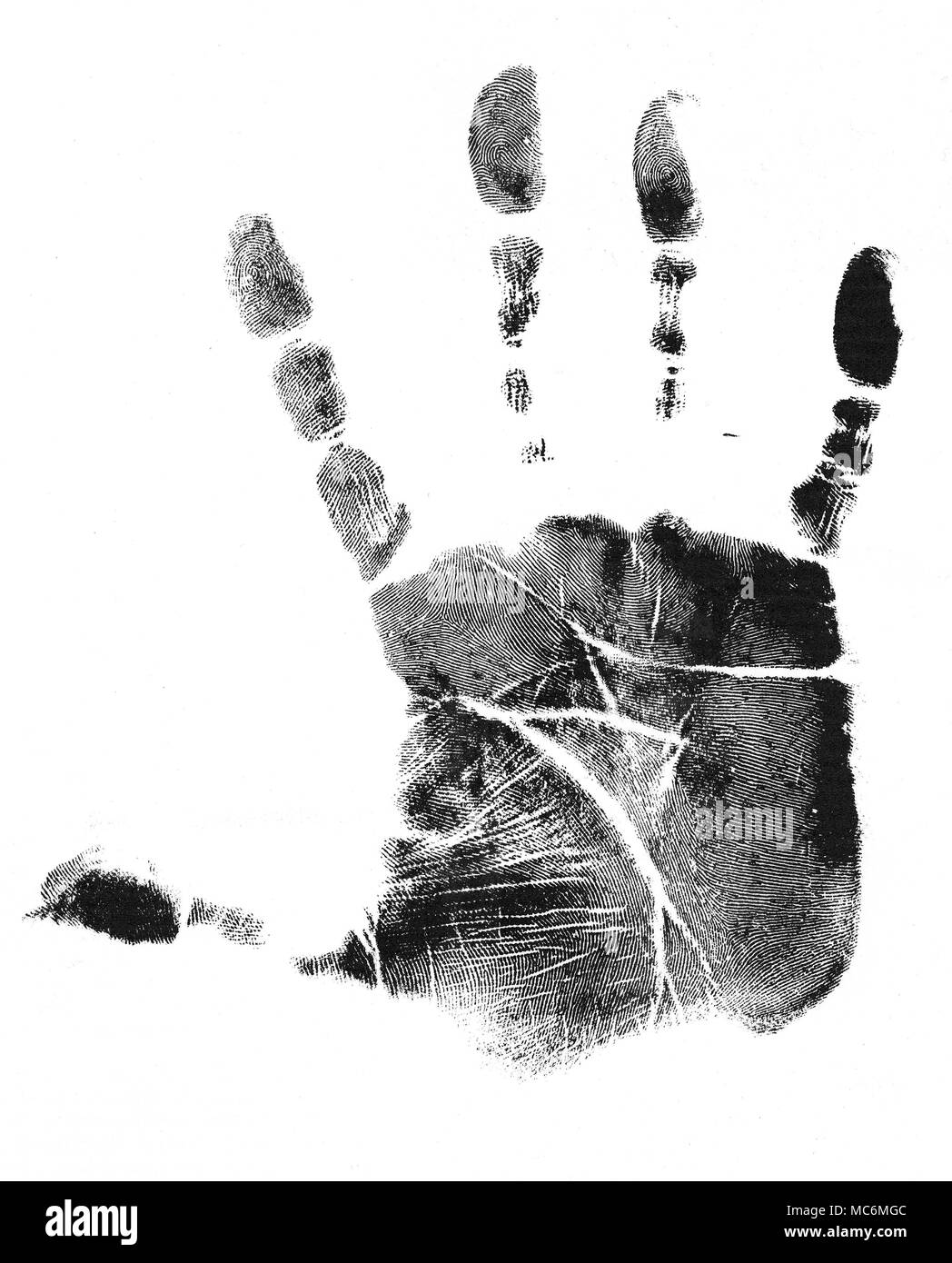 PALMISTRY - CHIROGNOMY A print of an Earth hand. The hand type has a square palm, short fingers, and a few deeply incised lines. Stock Photo