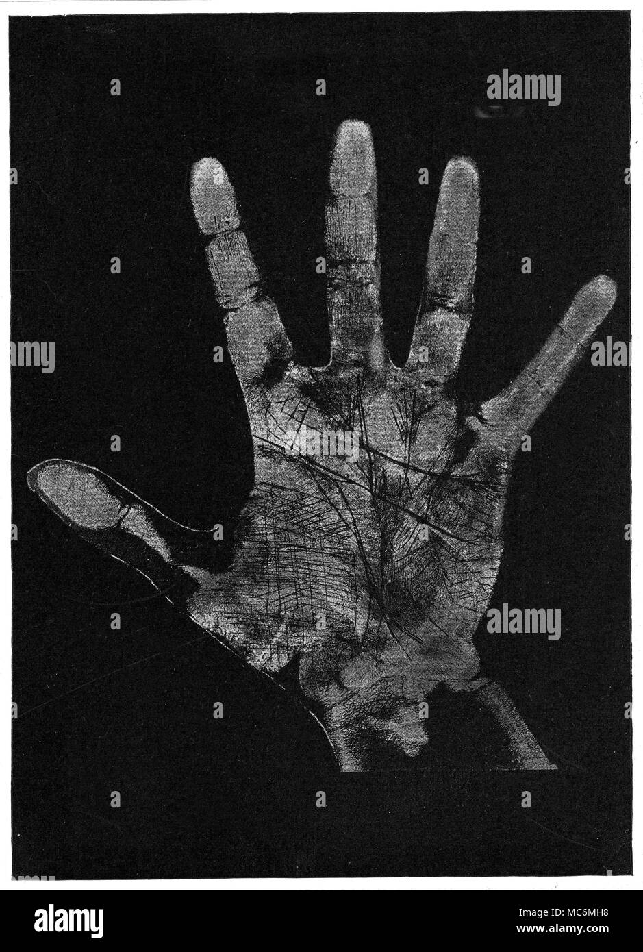 PALMISTRY The print of the hand of the prima donna, Madame Nordica, made by the palmist Cheiro round about 1894. The print is not of a particularly good quality, but it is of considerable historical interest. Towards the end of the century, an attempt was made on Cheiro's life, when a man attempted to shoot him. The bullet was deflected by a silver cigarette case, given to Cheiro by Madame Nordica. In this way, his life was saved. The print is from Cheiro's Language of the Hand, 1897: the story of the cigarette case is told in Cheiro's autobiography. Stock Photo