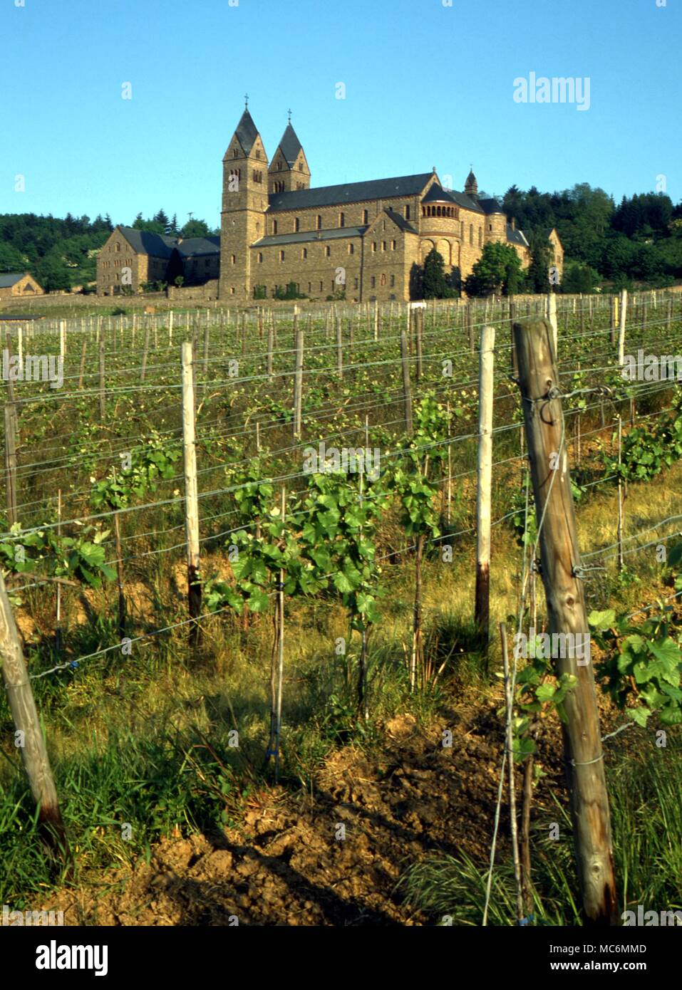 Medical - One of the most famous herbal gardens of the medieval period was that run by the esotericist abbess, Hildegard of Bingen, who wrote books on curative herbs. This is the new 'Hildegarde' abbey, at Rudesheim. Stock Photo