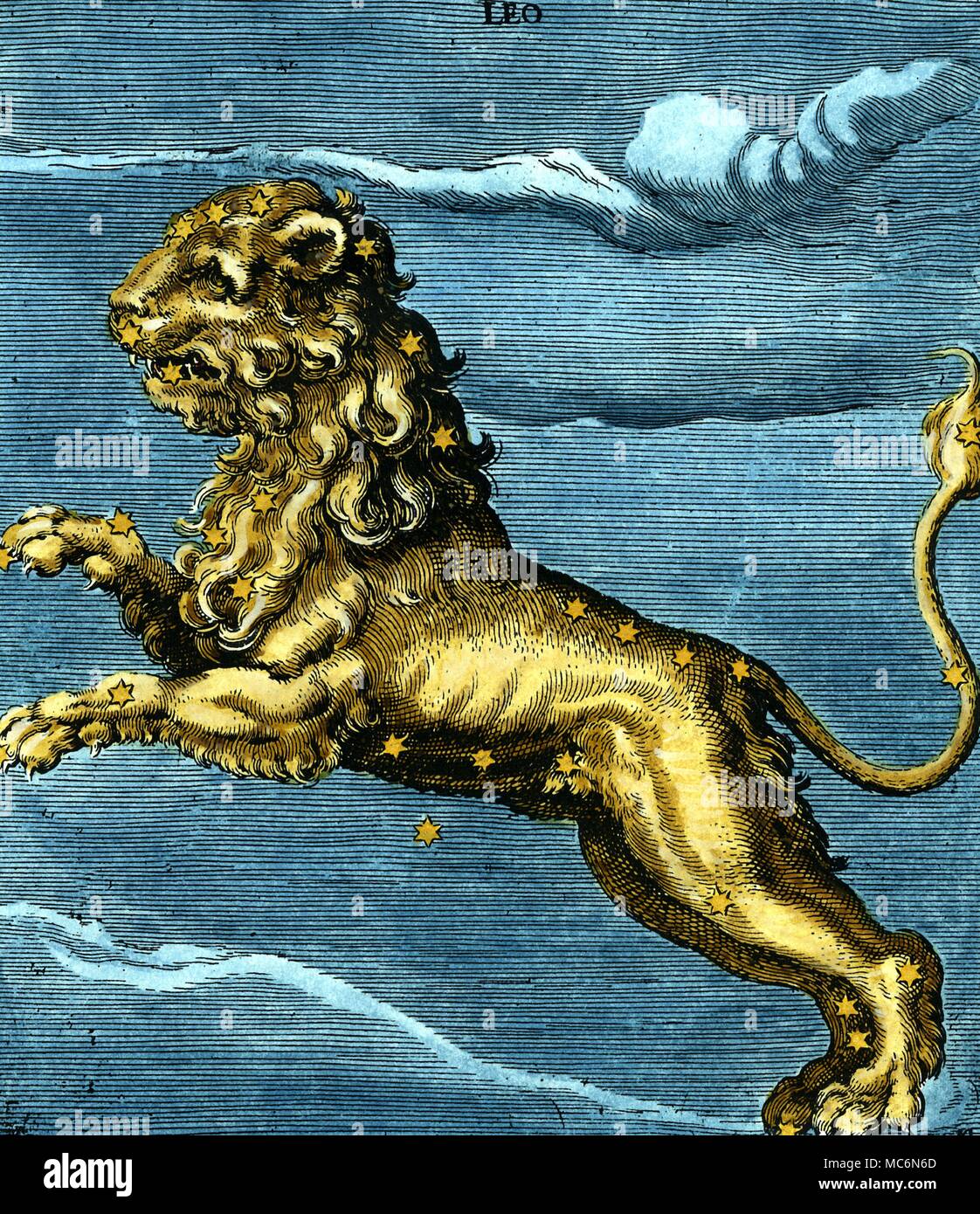 Latin lion in Heraldic Lion