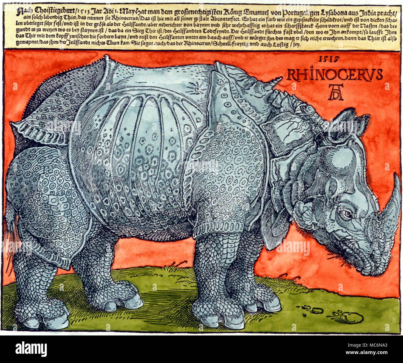 Rhinoceros Woodcut by Albrecht Durer The Rhinoceros 1515 Stock Photo