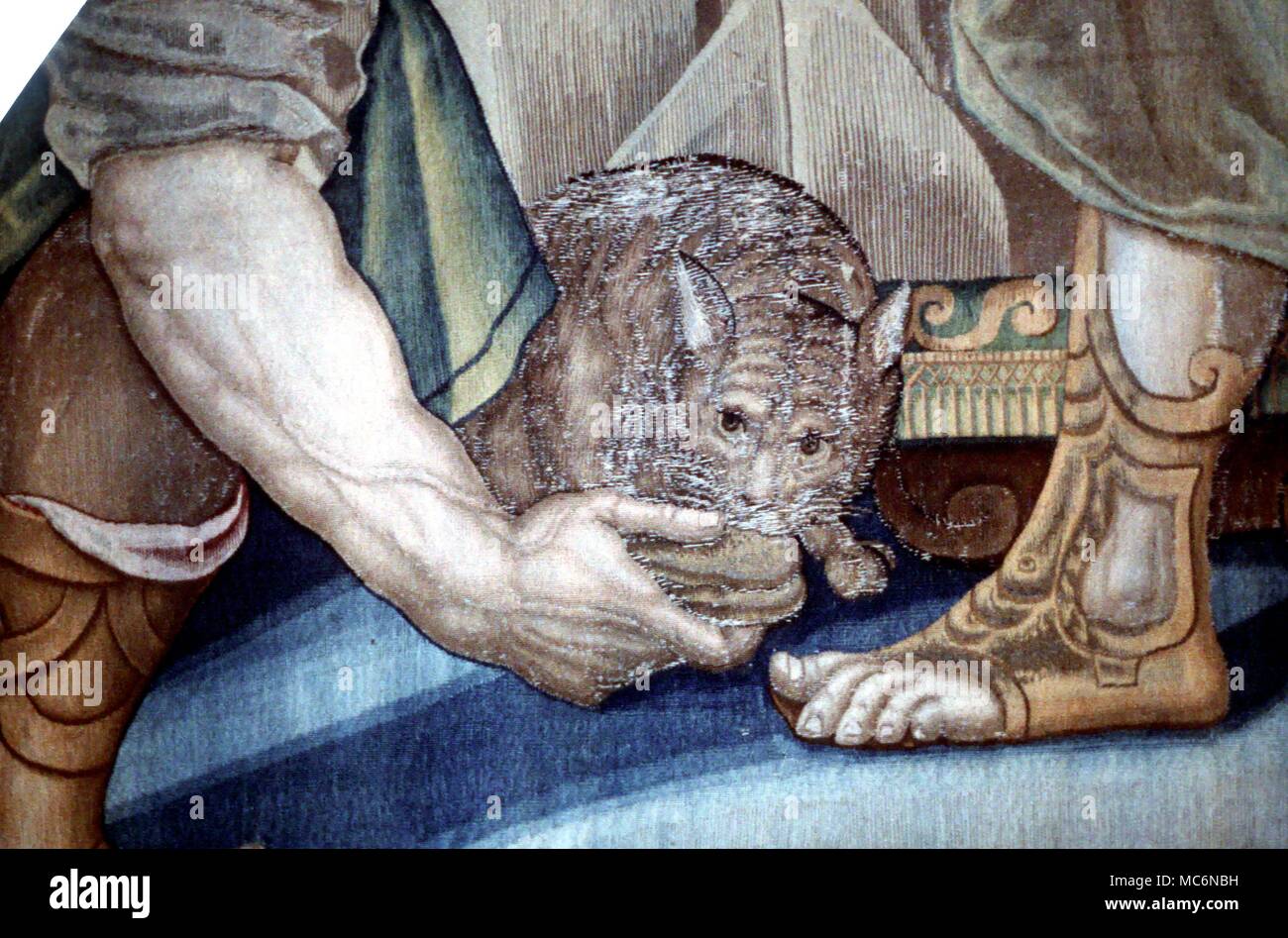 Cat Detail of 15th century tapestry of The Last Suppere in the Uffizi Florence The detail shows the Judas cat at the feet of his master Stock Photo