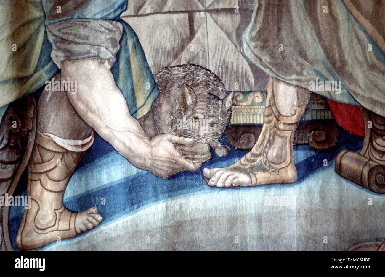 Cat The Judas Cat detail from a sixteenth century tapestry in the Uffizi Florence Stock Photo