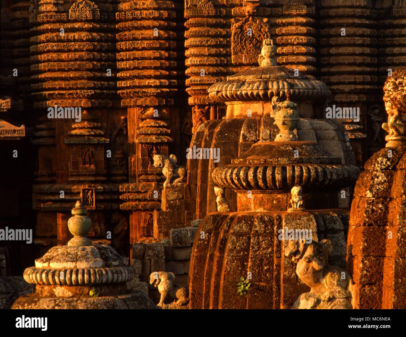 India. 100. Bhubaneswar. The great temple complex of the Lingaraj, dedicated to Tribhubaneswar, the 'Lord of he Three Worlds,' dated from 1104 AD. Bhubaneswar, the capital of Orissa, is also popularly known as the 'Temple City of India' Stock Photo