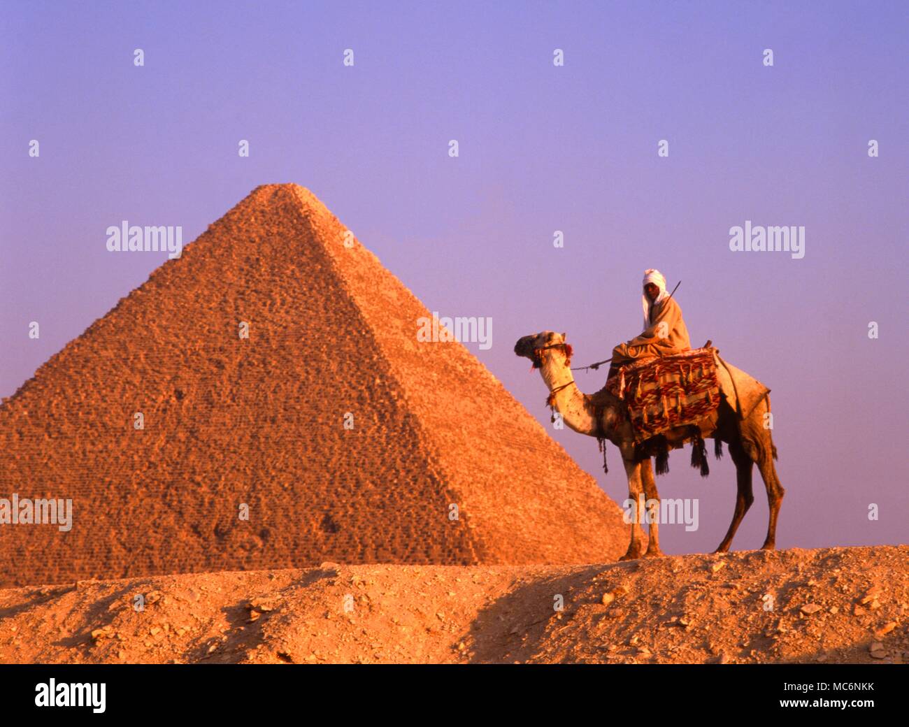 The Great Pyramid of Cheops, at Gizah [near Cairo], with a camel and rider in foreground. Stock Photo