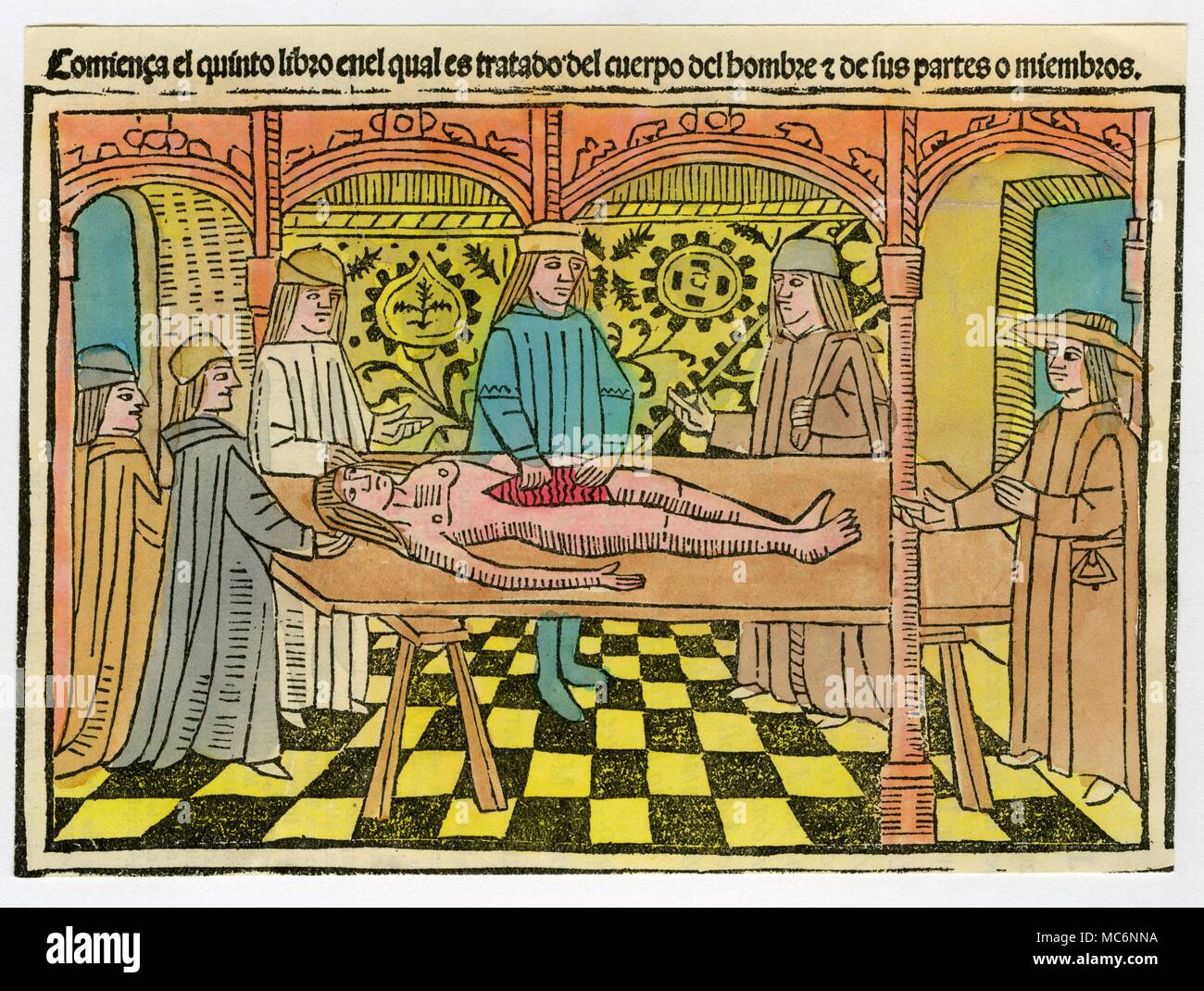 This autopsy is being conducted in the presence of a number of students. From Bartholomaeus de Glanvilla, 'De las Propriedades de las Cosas' [1494]. Stock Photo