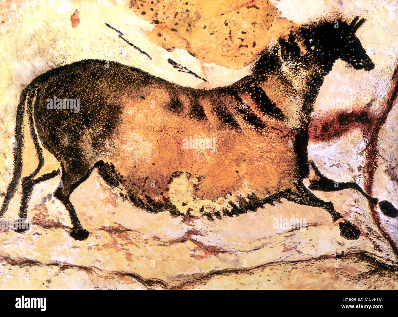 Cave Art - Lascaux - Prehistoric cave painting of running horse, from the cave system of Lascaux (Axial Gallery). Computer/artwork graphic by James Thorn. Copyright CWC - Â® / Charles Walker Stock Photo
